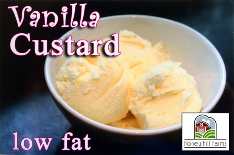 Vanilla Custard