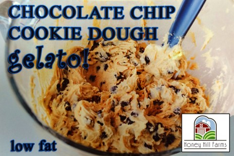 Chocolate Chip Cookie Dough Gelato