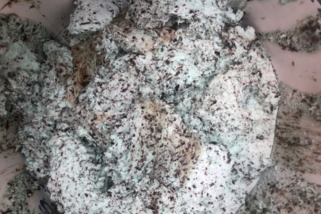 Mint Chocolate Chip