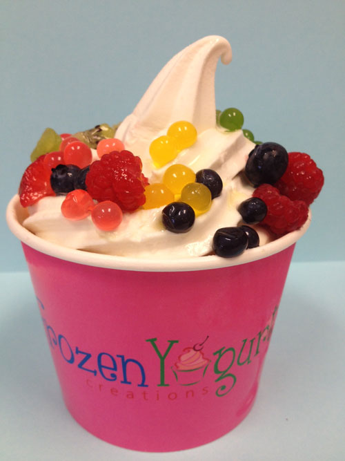Frozen Yogurt Creations in Mankato